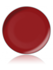 Lip gloss color №09 (lip gloss in refills), diam. 26 cm